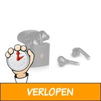 Veiling: Bluetooth in-ear oordopjes van Dutch Originals..