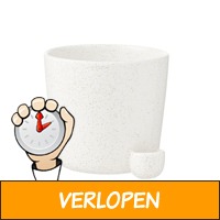 Bloempot