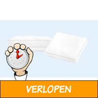 3D air verkoelend kussen