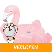 Opblaasbare Flamingo (Top 5 Poolparty Must-Haves Van Ce..