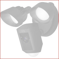 Ring Floodlight Cam