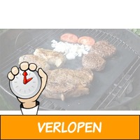 Set van 2 grillmatten