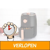 Veiling: small airfryer van Buccan (inhoud: 1,6 liter)