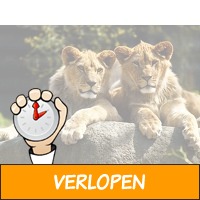 Entreeticket voor Dierenpark Parijs