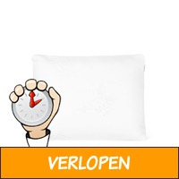 2 SleepMed traagschuim hoofdkussens