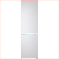 Samsung RB41R7719S9/EF koel-vriescombina..