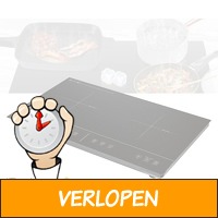 iCookTop Inductie kookplaat