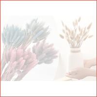 Droogbloemen kopen bij webshop Voucherva..