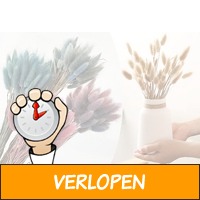 Droogbloemen kopen bij webshop Vouchervandaag