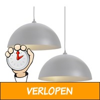 vidaXL plafondlampen 2 st