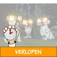 Premium solar LED-honden tuinverlichting