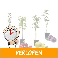 4 winterharde pilaar-fruitbomen