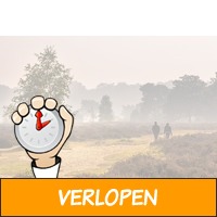 2 of 3 dagen 4*-hotel op de Veluwe