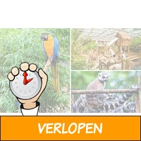 Entree voor Papegaaienpark Zoo Veldhoven