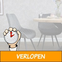 Set van 2 eetkamerstoelen