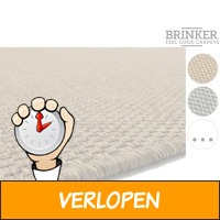 Brinker vloerkleed Dynamo Feston