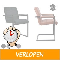 Swinger stoelen