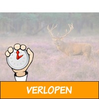 5 dagen Veluwe