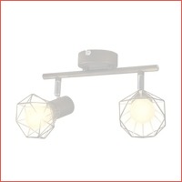 Lamp industrieel met 2 LED's