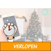 FlinQ slimme LED-kerstverlichting