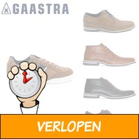 Gaastra schoenen