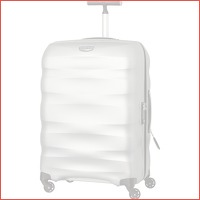 Samsonite Engenero Spinner