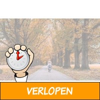 Ontspannen op de Veluwe