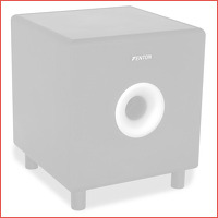 Fenton SHFS08B actieve HiFi subwoofer