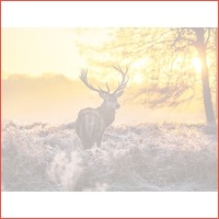 3 dagen Veluwe HP