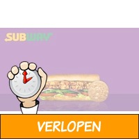 Subway Vrijstraat Eindhoven: 2 sandwiches en cookie naa..