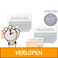 2 x Samsung EVO MicroSDXC (2020) + adapter