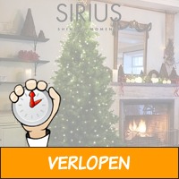 Anni kerstboom met lichtjes