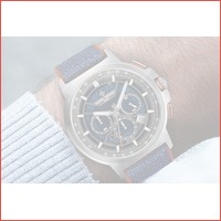 Veiling: Titan herenhorloge van Alpha Si..