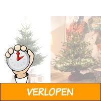 Nordmann kerstboom