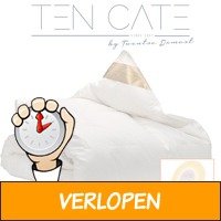 Ten Cate donzen 4-seizoenen dekbed incl. wake up light