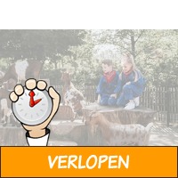 Midweek of weekend op Vakantiepark Dierenbos