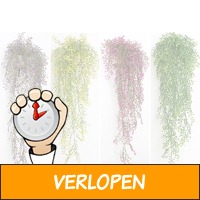 Nep hangplanten