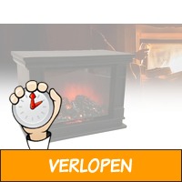 Benson Openhaard Decoratie - LED 6 Volt