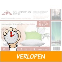 Scandinavian Sense Bamboe Hoofdkussen - 60 x 70 cm