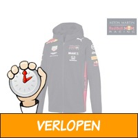 Red Bull Racing mens hooded sweater