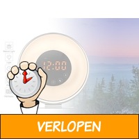 Sunrise Wake Up Light wekkerradio 6639F - Word wakker m..