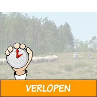 Vakantiepark Veluwe