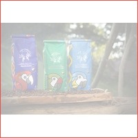 Wild Coffee, premium koffie uit de Andes