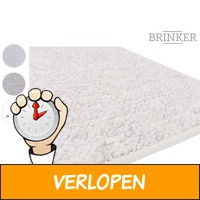 Brinker vloerkleed Casei Feston