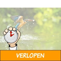 3 dagen 4* Biesbosch + diner