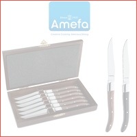 Amefa steakmessenset in luxe box