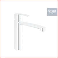 Grohe Wave Cosmopolitan keukenmengkraan