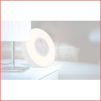 Wake up light