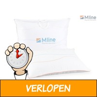 M line Active Pillow