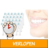 Set van 24 Oral-B-compatibele opzetborstels